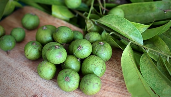 Quả sấu ngoài công dụng làm đồ ăn thì còn trị nhanh thần kì nhiều bệnh cả người lớn lẫn trẻ nhỏ đều mắc-3