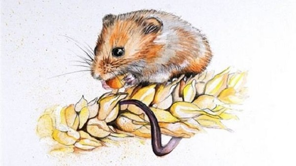 5 ngày nữa: 3 con giáp sao Thiên Tinh chiếu mệnh, hô mưa gọi gió từ nghèo hóa giàu trong chớp mắt-2