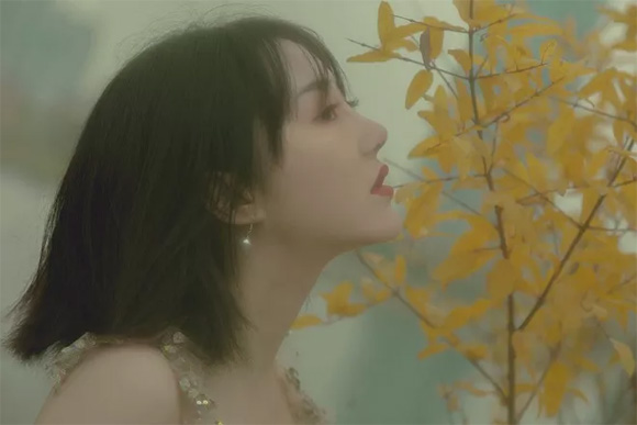 Soi tháng hoàng kim nhất của 12 con giáp trong nửa cuối năm 2019-7