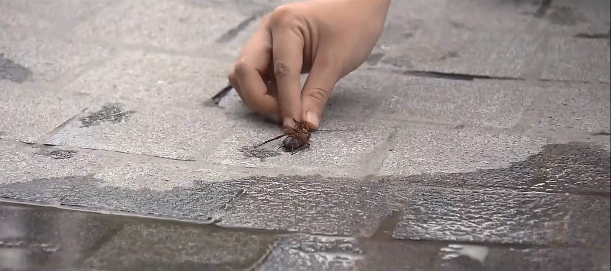 Về nhà đi con: Ngoài chiêu dùng tiểu cường trị tiểu tam, Dương còn khiến ai nấy hả hê vì những câu nói khiến Nhã tím mặt-1