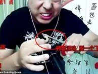 Livestream ăn tắc kè sống, rết độc, vlogger Trung Quốc mất mạng