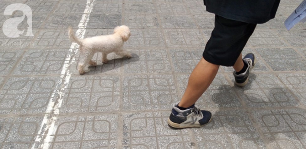 Chung cư HH Linh Đàm và cảnh tượng nhếch nhác, xuống cấp: Rác tập kết trước cổng chung, cảnh họp chợ lộn xộn và cơ sở vật chất ngổn ngang-10