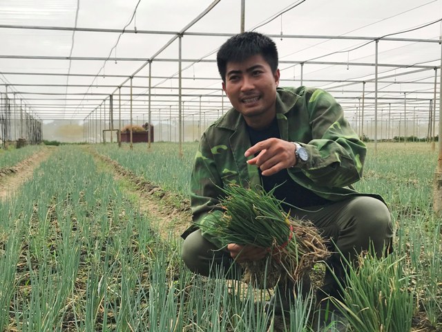 Lãng tử 9X xứ Thanh bỏ lương khủng” về làng trồng...hành-1