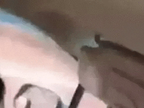 Những lưu ý cần thiết cho người mới lái ôtô-1