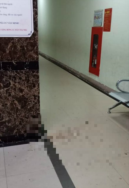 Nhiều cư dân bức xúc khi cô gái say rượu bất ngờ nôn ra sảnh thang máy-1