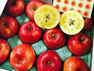 1,5 triệu một kg táo mật Nhật Bản bán tại Việt Nam