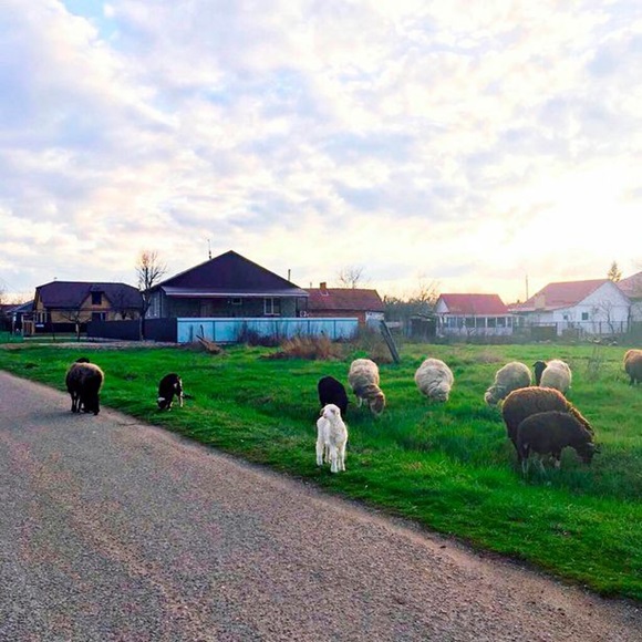 Phát hiện đứa trẻ 10 tuổi bị xích cổ, đói lả, nhân viên siêu thị báo cảnh sát và phát hiện sự thật động trời sau cánh cửa nhà doanh nhân giàu có-3