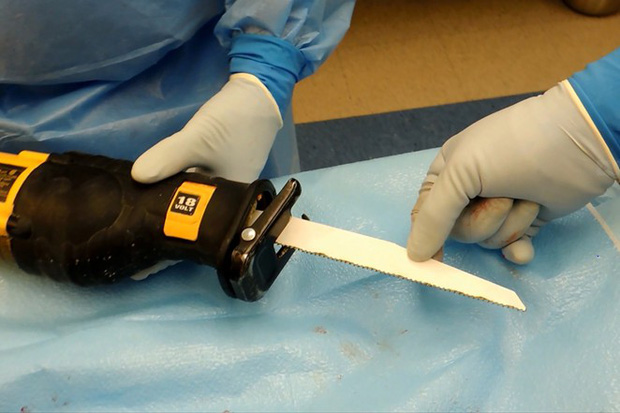 FBI phát hiện 10 tấn bộ phận cơ thể người được đông lạnh và khâu vào nhau tại trung tâm nghiên cứu trá hình-3