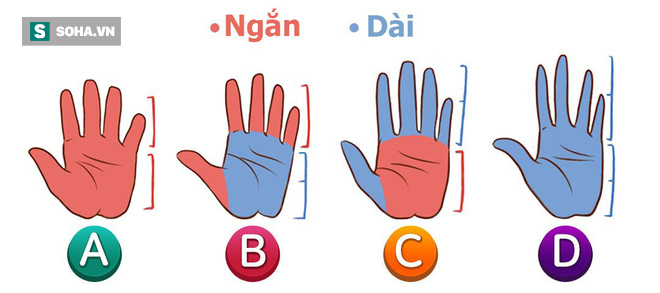 Sở hữu bàn tay trái dài hay ngắn cũng bộc lộ những phẩm chất tiềm ẩn tốt nhất trong bạn-1