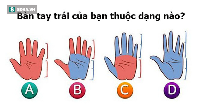 Sở hữu bàn tay trái dài hay ngắn cũng bộc lộ những phẩm chất tiềm ẩn tốt nhất trong bạn-2