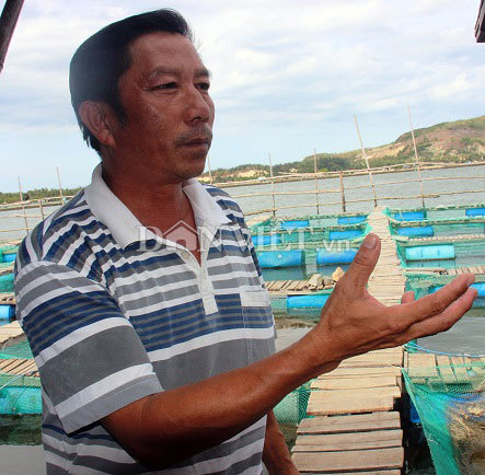 5.000 con cá bớp ở đầm Cù Mông hễ thấy người là nhõng nhẽo đòi ăn-4