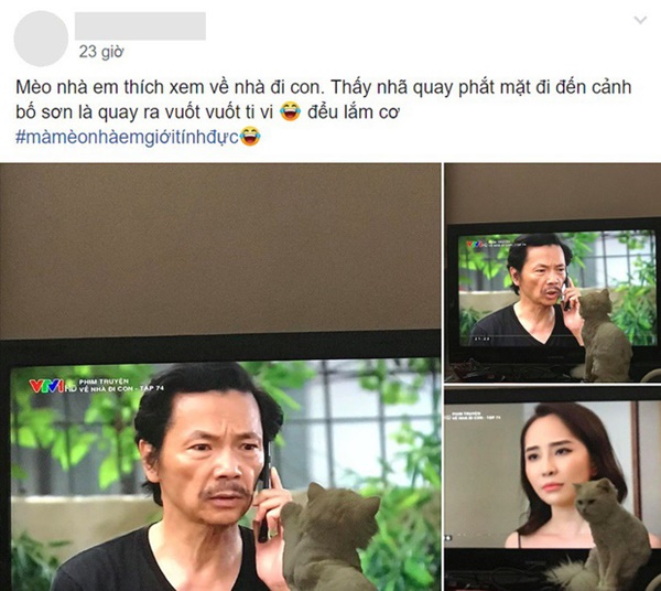 Tìm ra khán giả Về Nhà Đi Con đáng yêu nhất: Mê bố Sơn ra mặt và ghét cay ghét đắng Nhã!-2