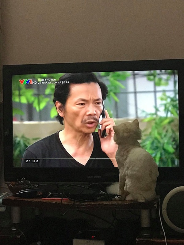 Tìm ra khán giả Về Nhà Đi Con đáng yêu nhất: Mê bố Sơn ra mặt và ghét cay ghét đắng Nhã!-3