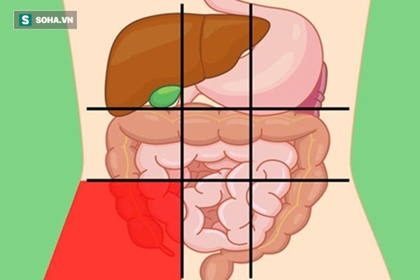 Nếu có 5 triệu chứng bất thường này sau khi ăn: Phải đi khám nội tạng càng sớm càng tốt-1