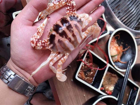 Hí hửng đi ăn buffet hải sản, khách hàng thất vọng vì gặp ghẹ 