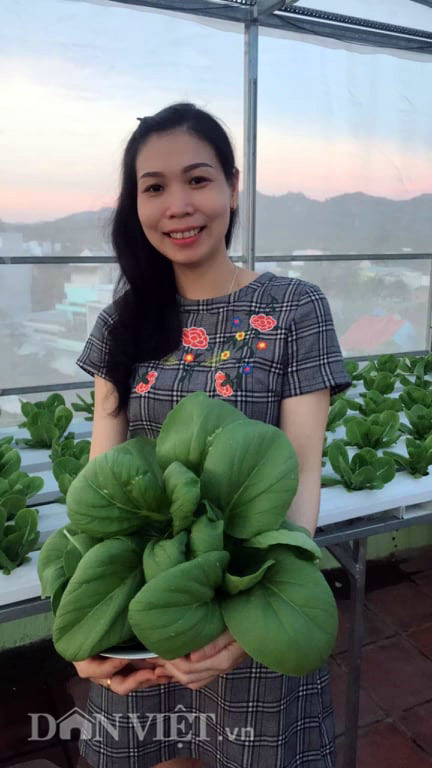 Vườn toàn rau siêu khổng lồ trên sân thượng 35m2 của bố đảm Nha Trang-11