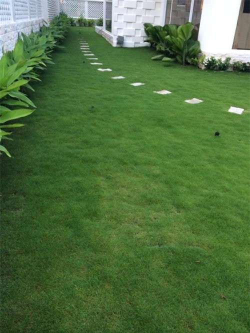 Thủy Tiên tiết lộ chi 200 triệu tiền sinh hoạt mỗi tháng, cặp đôi Vic - Beck của Việt Nam giàu cỡ nào?-7