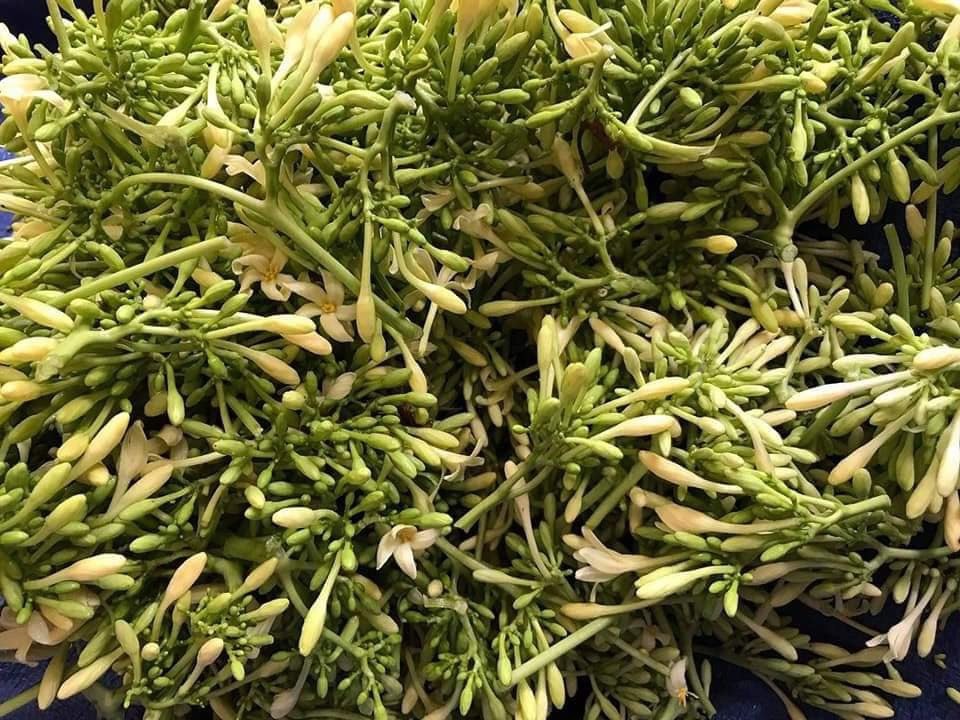 Loại hoa thường cắt bỏ đi sấy khô thành đặc sản 1,5 triệu/kg-1