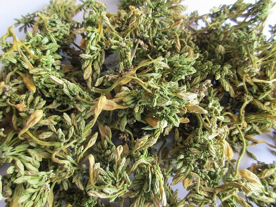 Loại hoa thường cắt bỏ đi sấy khô thành đặc sản 1,5 triệu/kg-2