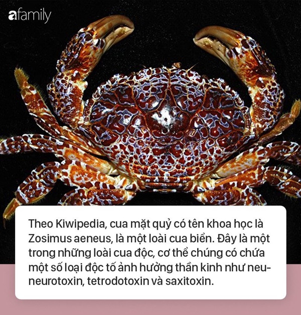 Tuyệt đối không ăn loại cua này nếu bạn không muốn bị tử vong trong tích tắc-2