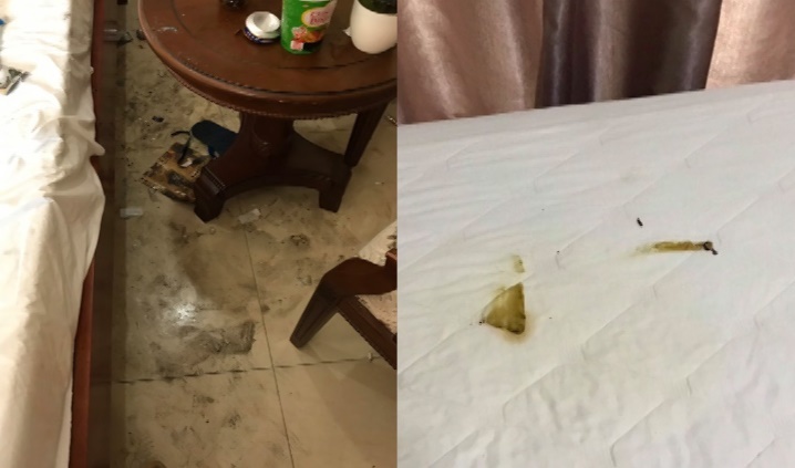 Cặp đôi lén lút mang chó vào khách sạn, ra về để lại căn phòng kinh hãi-2