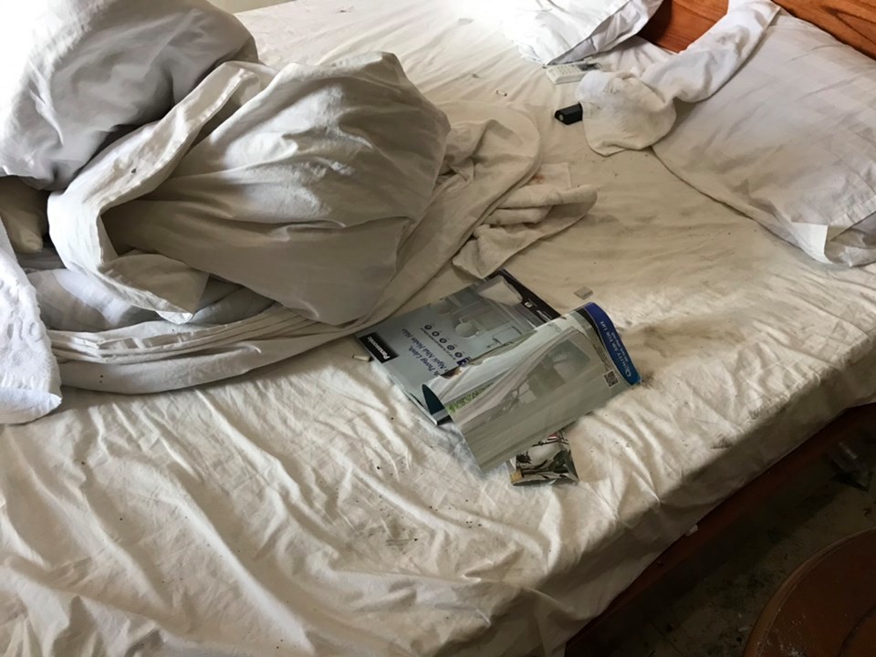 Cặp đôi lén lút mang chó vào khách sạn, ra về để lại căn phòng kinh hãi-4