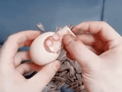 Những cách giấu tiền trong nhà không ai ngờ tới