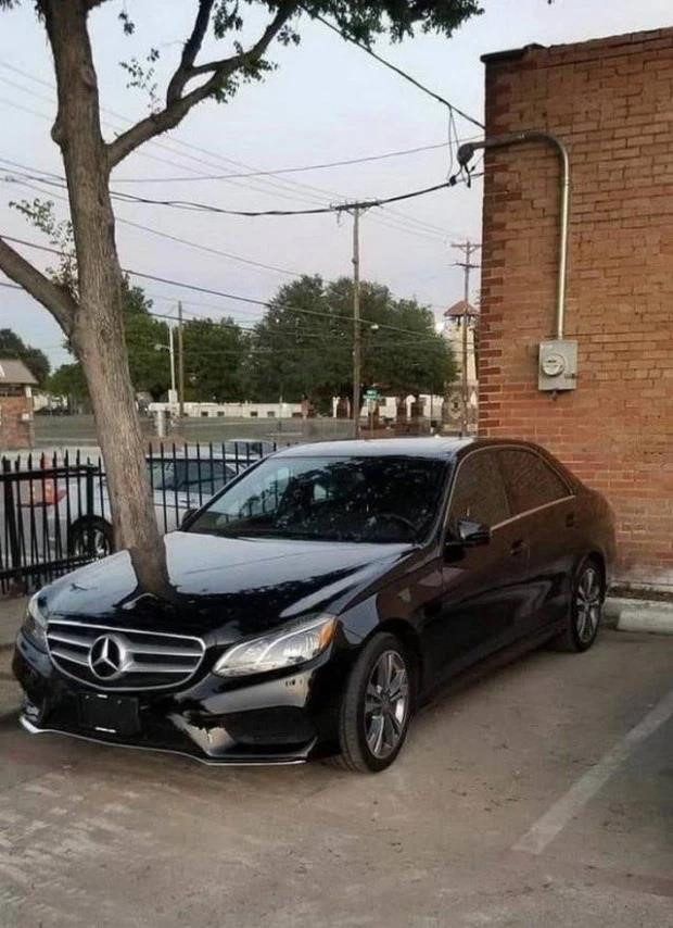 Bạn có tự tin không bị hiểu nhầm khi xem loạt ảnh này?-5