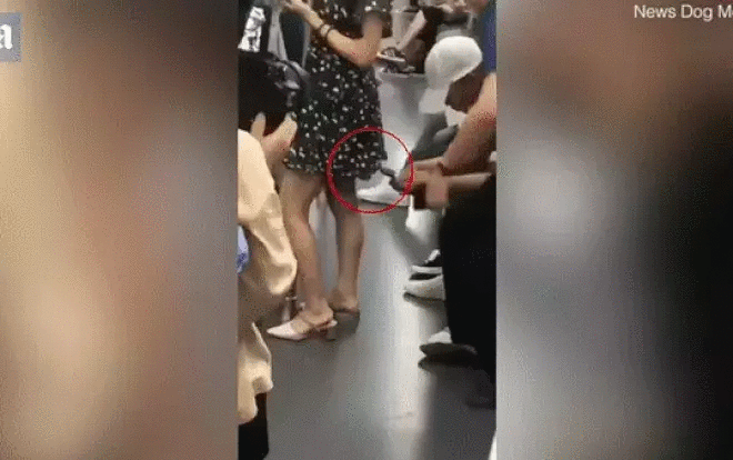 Thấy kẻ biến thái quay lén dưới váy cô gái, phản ứng tinh tế của người đàn ông khiến dân tình ca ngợi hết lời-1