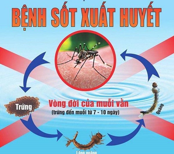 Hai bé Tây Nguyên qua đời vì sốt xuất huyết: Bác sĩ Nhi chỉ dấu hiệu nhận biết rõ nhất-1