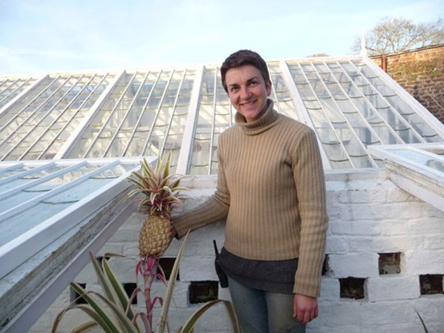 Quả dứa có giá hơn 300 triệu, bán thương hiệu hay thực sự có giá trị?-8