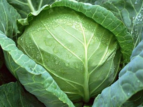 Lấy chồng 10 năm chưa biết lên đỉnh là gì, người vợ sốc khi nghe lời khuyên nhạy cảm của bác sĩ-4