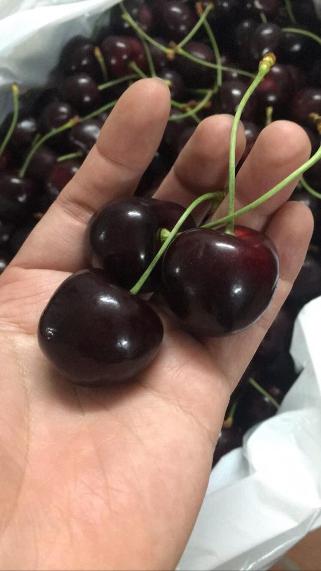 Cherry tại Mỹ có thực sự mất giá, mà ở Việt Nam chỉ hơn 200 nghìn đồng/kg?-3