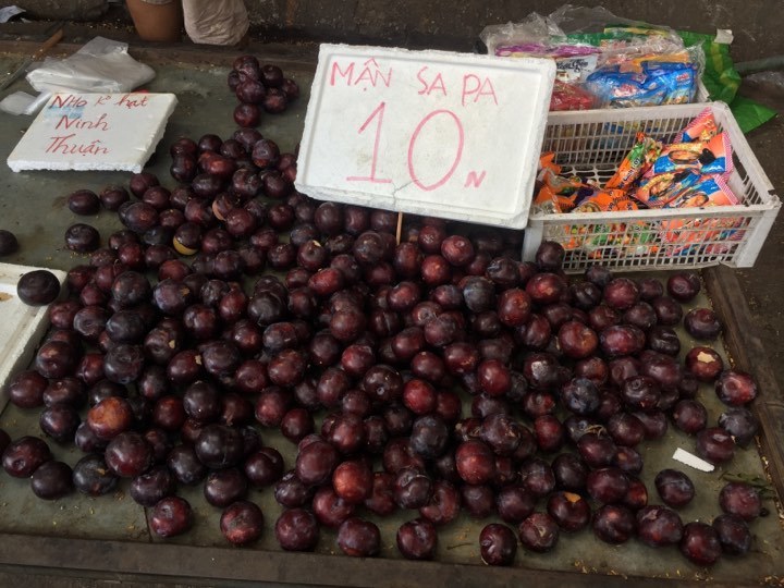 Khách mua sợ hàng Trung Quốc, mận tím khổng lồ hạ giá mạnh vẫn ế-1