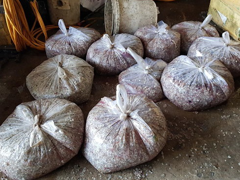 Ồ ạt săn trầm dó, tơ hồng để bán cho thương lái Trung Quốc-3