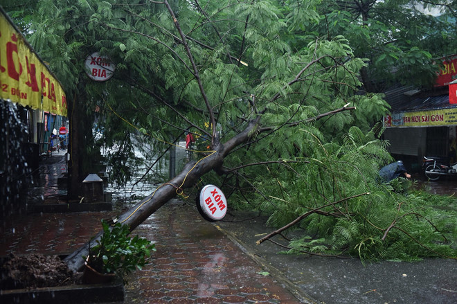 Bão số 3 suy yếu thành áp thấp nhiệt đới, Bắc Bộ tiếp tục mưa lớn-2