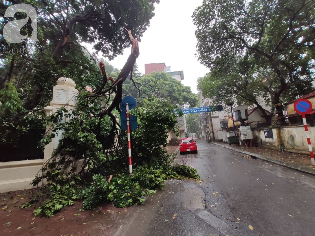 Hà Nội mưa rất to, cây cối bị gió quật ngã nằm la liệt, nhiều nơi ngập nặng sau bão Wipha-3