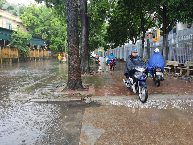 Hà Nội mưa rất to, cây cối bị gió quật ngã nằm la liệt, nhiều nơi ngập nặng sau bão Wipha-9