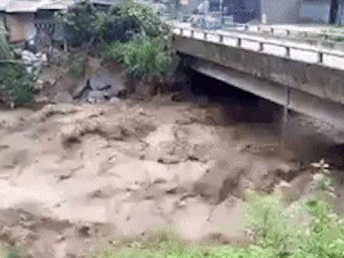 Giây phút sinh tử của chàng trai vì cứu người mắc kẹt trên ngọn cây giữa dòng lũ-5