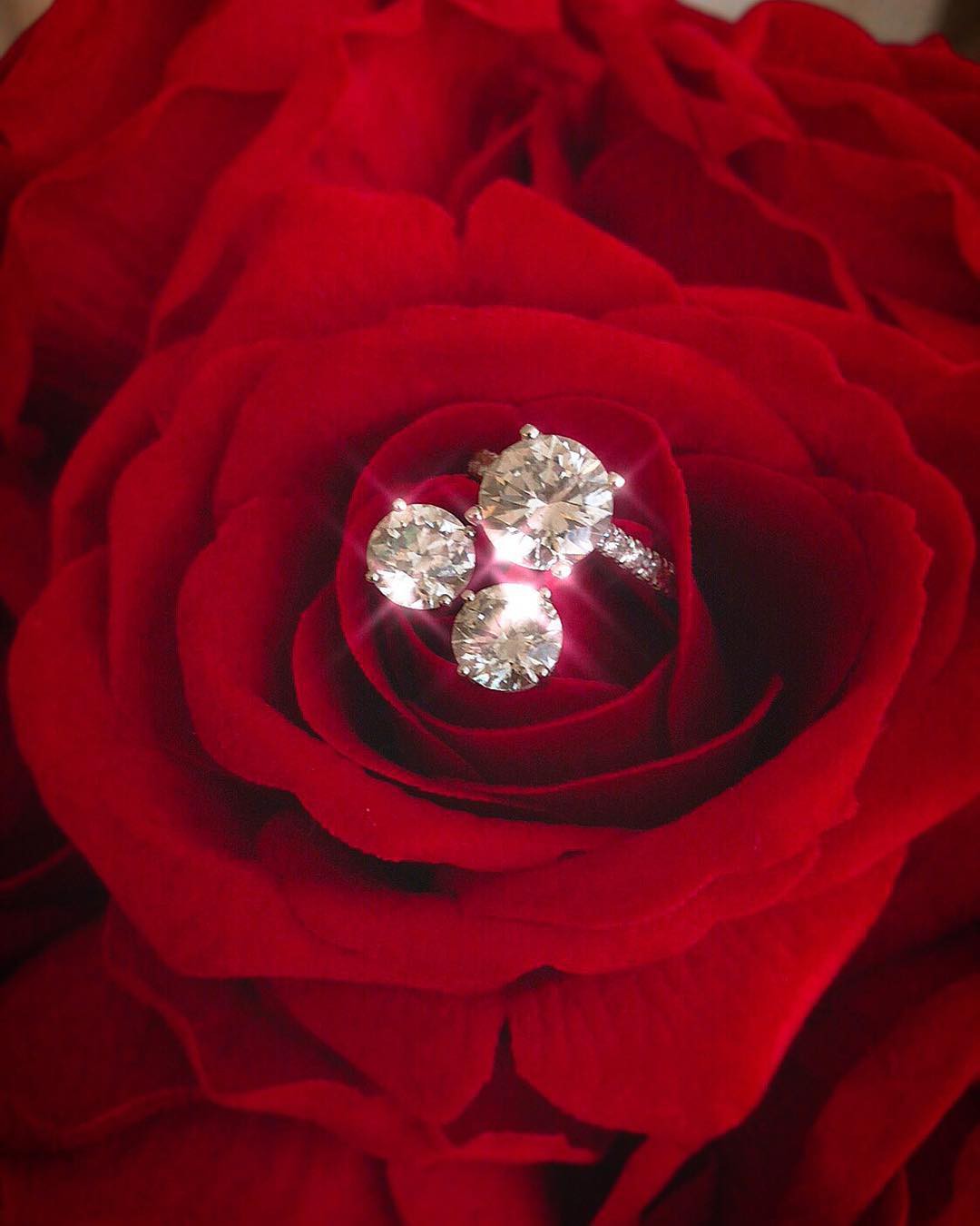 Suốt ngày tạo dáng bên siêu xe, xách túi hàng hiệu vài trăm triệu, cuộc sống của Phạm Hương trên đất Mỹ sung sướng cỡ nào?-19