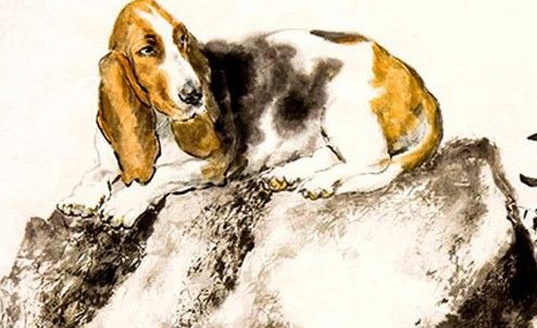 5 con giáp gặp đại hạn tháng cô hồn: Người mệt mỏi chuyện tình cảm, kẻ liên tục vướng vào thị phi-5