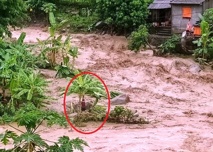 Đu ngọn cây, người đàn ông Thanh Hóa sống sót giữa dòng lũ cuồn cuộn-3