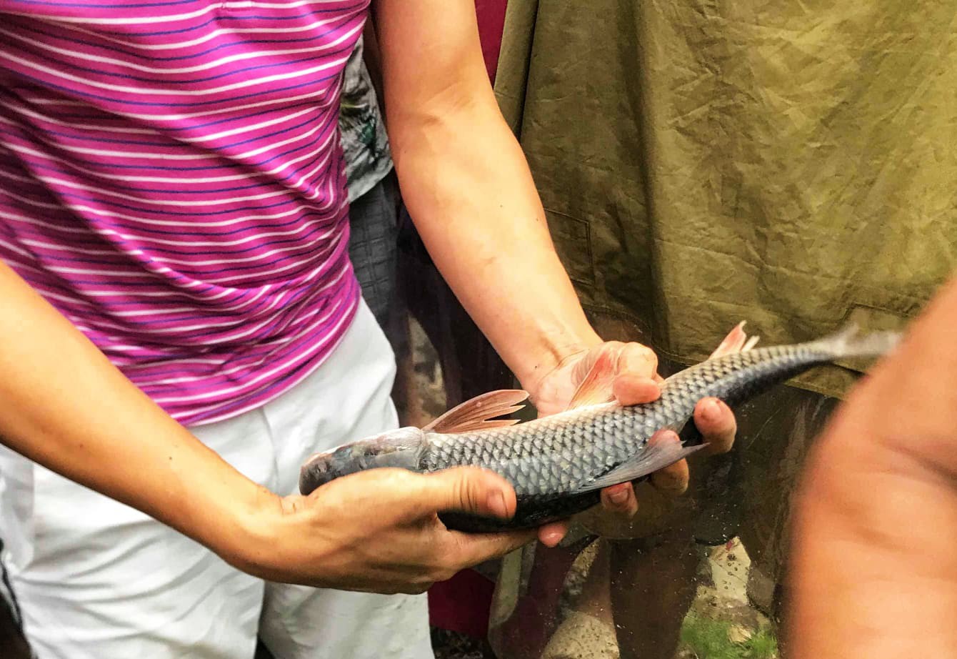 Hà Nội mưa như trút nước, người khốn khổ tát nước từ nhà ra sân, người hăng hái ra kênh bắt cá-12