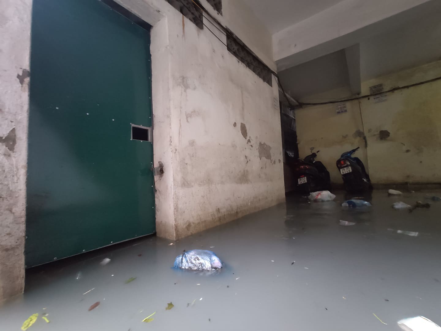 Hà Nội mưa như trút nước, người khốn khổ tát nước từ nhà ra sân, người hăng hái ra kênh bắt cá-3