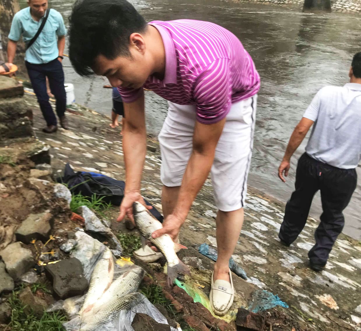 Hà Nội mưa như trút nước, người khốn khổ tát nước từ nhà ra sân, người hăng hái ra kênh bắt cá-13