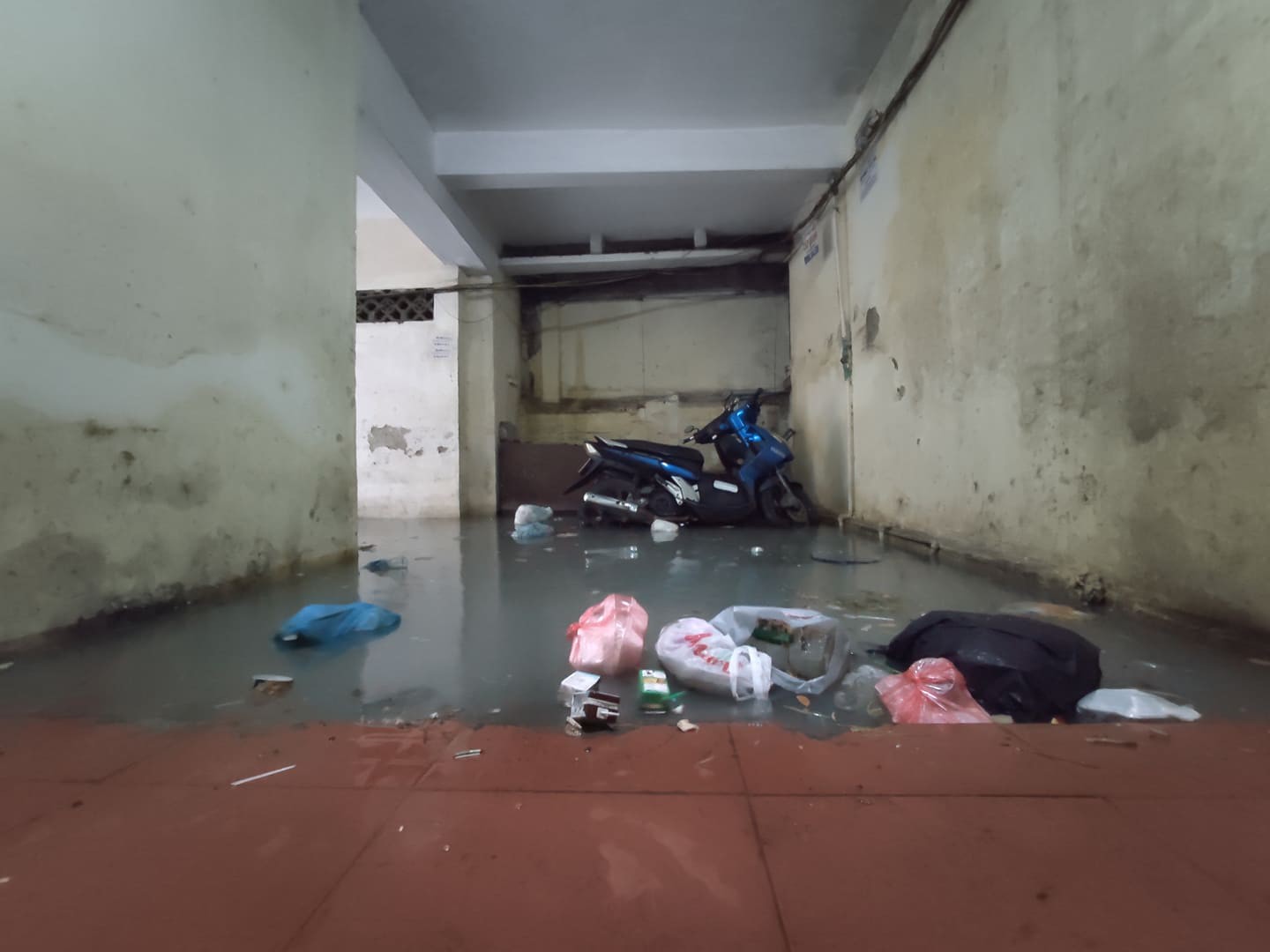 Hà Nội mưa như trút nước, người khốn khổ tát nước từ nhà ra sân, người hăng hái ra kênh bắt cá-2