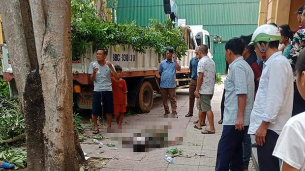 Đứng trên cần cẩu chặt cây, một người đàn ông bị rơi tử vong-1