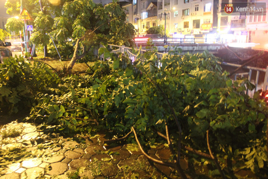 Mưa lớn khiến cây xanh tại Hà Nội đổ gục hàng loạt, dây điện chằng chịt trên vỉa hè-3