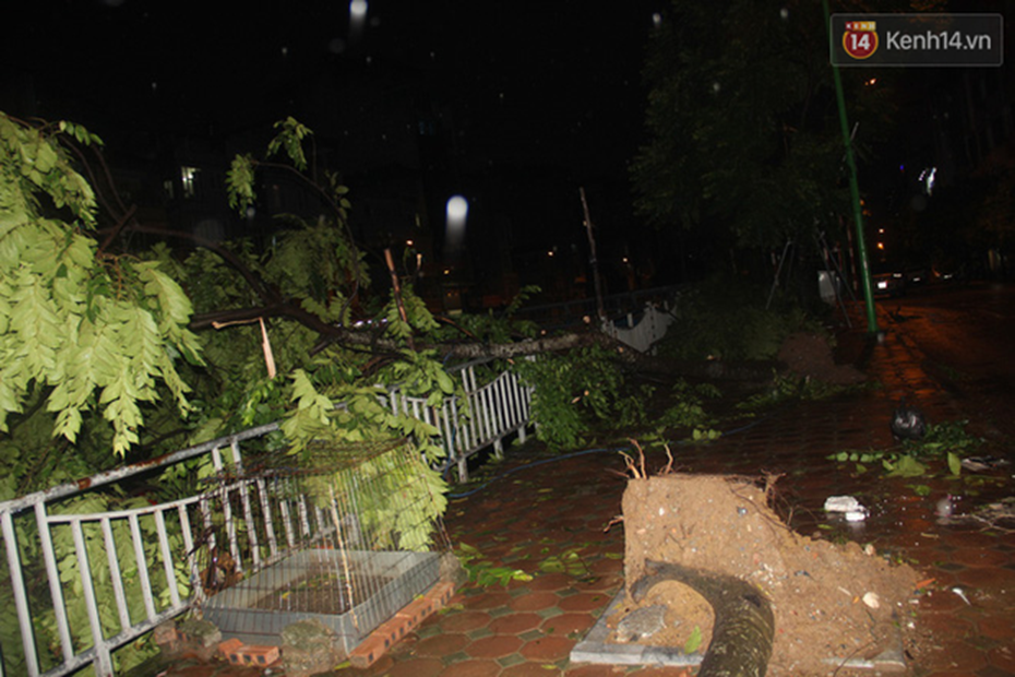 Mưa lớn khiến cây xanh tại Hà Nội đổ gục hàng loạt, dây điện chằng chịt trên vỉa hè-4