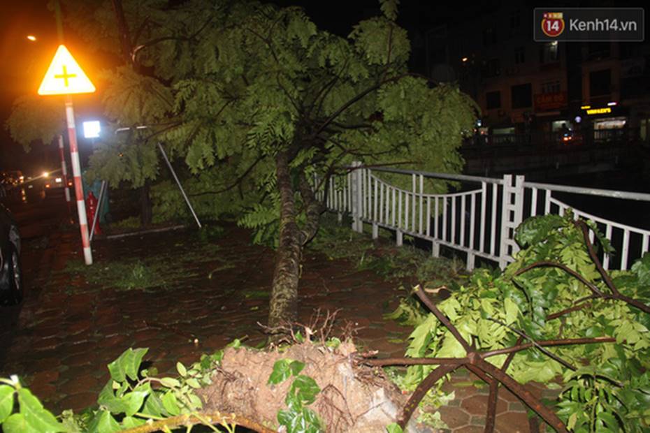 Mưa lớn khiến cây xanh tại Hà Nội đổ gục hàng loạt, dây điện chằng chịt trên vỉa hè-11